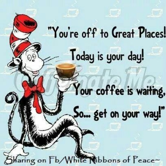 Meet your Posher, Brandi - Picture 1 of 1